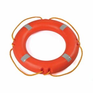 Lifebuoy (4 KGs)