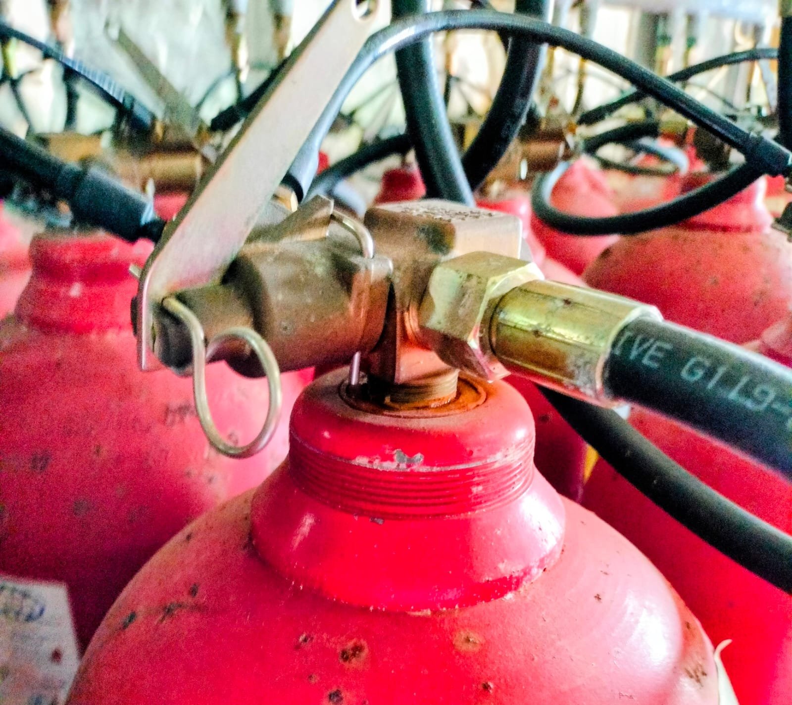 Flexible Hoses for High Pressure CO2 Systems